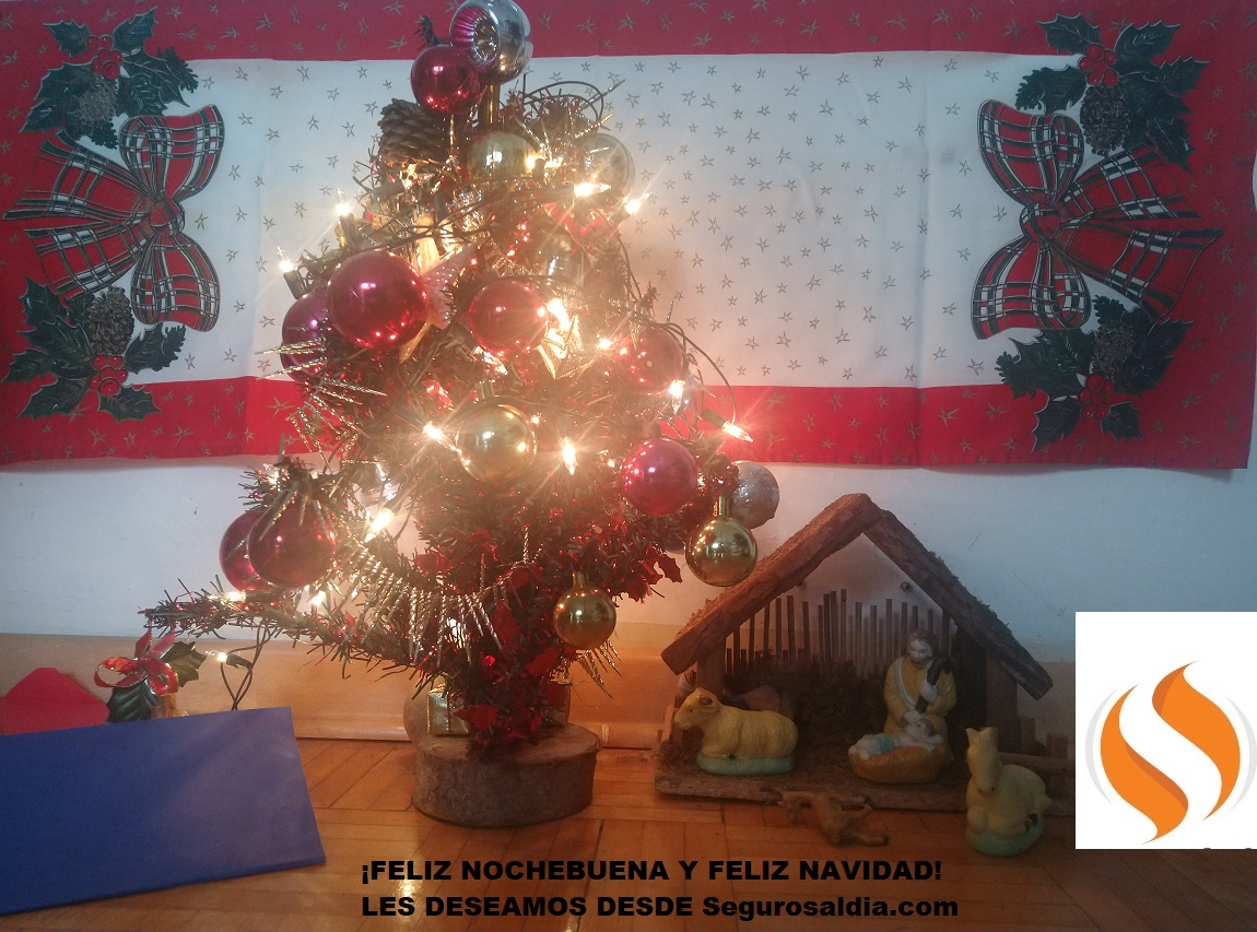 Brindemos en esta Nochebuena y Navidad por lo que pasó y pasará. Y a practicar estas palabras: Empatía, Diálogo, Compromiso, Respeto. El asegurado mira, la IA pisó fuerte.