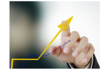 Sepelio individual y colectivo: los rankings de producción a septiembre de 2024